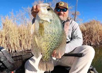 New Colorado State record Crappie caught